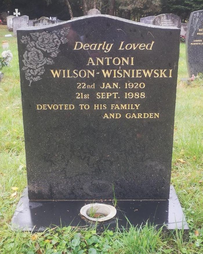 Antoni Wilson-Wiśniewski